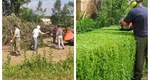Obiceiul care aduce amenzi uriașe românilor care locuiesc la curte. Greșeala pe care o fac mulți români când își curăță grădinile