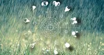 Venus în Gemeni, efecte negative asupra a trei zodii. Ce îi așteaptă pe nativi începând cu 24 aprilie