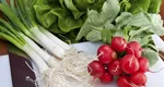 Leguma de primăvară care face minuni pentru sănătate. Costă sub 3 lei și este o explozie de vitamine