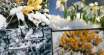 8 zile consecutive de ninsoare în România. Anunțul făcut de meteorologii Accuweather