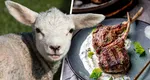 Cererea de miei, puternic influențată de conflictul din Orientul Mijlociu. De Paște, românii ar putea plăti chiar și 70 de lei pe kilogramul de berbecuț