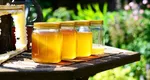 Ce se întâmplă în corpul tău dacă mănânci miere de albine în fiecare zi. Cantitatea ideală care poate fi consumată zilnic