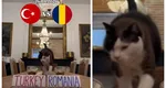 VIDEO Turcia-România, meci decisiv la Istanbul! Cu ce scor se va termina partida, potrivit celebrului motan prezicător Nimbus