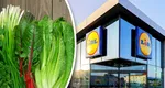 Au apărut primele verdețuri la Lidl. Razele de soare vestesc oferte irezistibile la legumele de primăvară