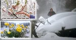 Meteorologii EaseWeather: Ninsorile se întorc în România începând cu 25 aprilie 2026