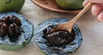 Fructul cu gust de budincă de ciocolată. Black Sapote a devenit viral pe rețelele sociale