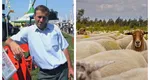 Un fermier din Galați renunță la ferma de oi după o viață de muncă: ”Nu mai pot, strămoșii mei se întorc în mormânt”