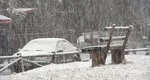 Meteorologii Accuweather anunță 4 zile de ninsori în România. Unde vor cădea fulgi de nea