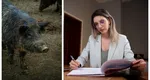 Ministerul Mediului schimbă cotele de vânătoare. Diana Buzoianu: ”Există numeroase cazuri în care evaluările se fac din pix”