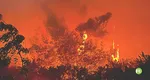Incendiu violent în regiunea Toscana, a fost mobilizată armata VIDEO