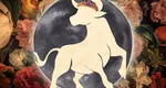5 zodii care au cele mai bune horoscoape toată săptămâna, între 11 și 17 mai. Ce le aduce Luna nouă în Taur