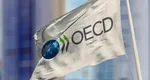 Suntem tot mai aproape de aderarea la OCDE. Secretar de stat: ”Există oameni în administrație care își fac treaba”