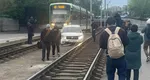 Val de reacții în mediul online după ce un șofer din Capitală a ajuns cu mașina între două linii de tramvai: „Cred că Waze i-a spus să se încadreze pe banda din mijloc”