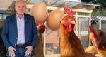 Primăria Buzău vrea să investească 37.000 de euro într-un „coteț mobil”. Revolta unui consilier local: „În sfârșit, domnul primar are o idee clară despre economia Buzăului: oul”