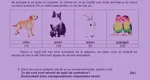 Evaluare Națională clasa a II-a. Subiecte la Matematică și Explorarea mediului