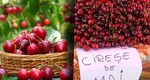 Când apar cireșele de mai în piețele românești și la ce preț se vor vinde: „Producția locală nu acoperă necesarul de consum”