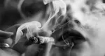 Fumatul reduce semnificativ speranța de viață. Câţi ani pierzi la un consum de unu până la două pachete de țigări pe zi