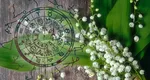 3 zodii urmărite de noroc până la finalul lunii mai. Nativii care au parte de reușite pe toate planurile