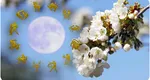 Horoscop pentru weekendul 1-3 mai 2026. Ce schimbări aduce Luna Plină în Scorpion pentru zodii