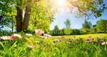 Prognoza meteo 5 mai. Temperaturi de vară și ploi în România. Termometrele vor urca spre 28 de grade
