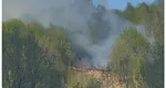 Incendiu de pădure pe Valea Anieşului. Focul a pornit de la o ţigară aruncată aprinsă