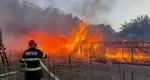 Incendiu grav în județul Bistrița-Năsăud. 50 de pui de găină și 30 de miei au murit după ce mai multe anexe gospodărești au luat foc
