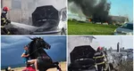 Incendiu devastator la un grajd din județul Buzău: trei cai și un mânz de rasă au murit. A fost afectat și un parc auto