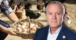 Primarul din Buzău explică investiția de 37.000 de euro în „cotețul de găini” care a stârnit ironii: „Este un proiect educațional pentru hrană sănătoasă și permacultură”