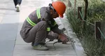Noi reguli pentru patronii români. Ce vor fi obligați să facă dacă angajează muncitori străini