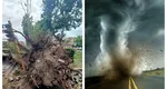 O tornadă devastatoare a smuls copaci şi acoperişuri la Roma VIDEO