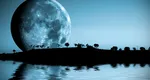Horoscop 18 iunie 2026. O zi activă și plină de inițiative. Ai idei bune, dar evită impulsivitatea!
