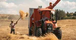Milioane de euro de la UE pentru fermierii români afectați de secetă. Când se dau banii