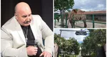 Cum arată vila lui Nuțu Cămătaru din Ferentari. Interlopul are o adevărată grădină zoologică în Capitală