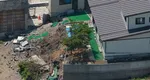 Cutremur puternic în Japonia: Magnitudinea revizuită la 7,2. Trenurile de mare viteză au fost suspendate. Anunțul guvernului de la Tokyo
