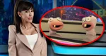 Cine sunt Scamă și Blană, Furnicuțele din emisiunea lui Denise Rifai de la Antena 1