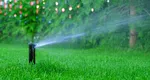 Greșeala care îți distruge gazonul vara. Ora la care trebuie udat ca să rămână verde și sănătos