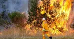 Incendiu de vegetație în Spania. Au ars 330 de hectare. Mai mulți oameni sunt evacuați