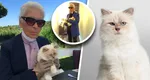 Cea mai bogată pisică din lume a rămas falită. Choupette, felina lui Karl Lagerfeld, nu a pus lăbuța pe moștenirea lăsată de creatorul de modă