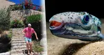 Cum arată mușcătura unui pește-iepure. Marius Niță a dezvăluit cum se simte prietenul său