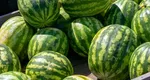 Cum alegi un pepene roșu bine copt, fără să îl tai. Trucul folosit de cunoscători