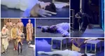 O pisică a urcat pe scenă în timpul spectacolului „Romeo și Julieta”. Momentul a devenit viral: „A furat spectacolul”