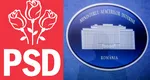PSD ar urma să preia Ministerul Afacerilor Interne. Ce nume este vehiculat pentru Ministerul Energiei (surse)