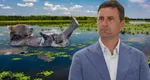 Tánczos Barna avertizează: „Dacă nu intervenim, ursul se va duce să facă baie în Deltă”. România cere reguli noi la nivel european