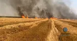 Incendiu masiv în Mehedinţi, ard peste 30 de hectare de mirişte VIDEO