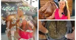 Hobby-ul bogaţilor! Cât costă lunar să deţii/închiriezi un cal. „În România, sunt preţuri de Dubai”
