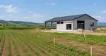 Terenurile agricole din extravilan cu construcții ridicate fără autorizație ar putea fi taxate de cinci ori mai mult. Paşii pentru intrarea în legalitate