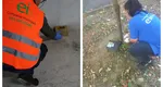 Invazie de șobolani în Capitală. Ce măsuri ia Primăria București, anunțul de ultimă oră făcut de autoritățile locale