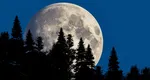 Zodia care are șansa de a lua o decizie importantă înainte de Luna Plină. Fenomenul astral care aduce ordine în viață și în gânduri