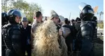 Oierii protestează joi la București. Oamenii cer reluarea de urgență a exporturilor