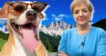Prognoza meteo. Romica Jurca anunţă disconfort termic ridicat şi la munte. Cum va fi vremea în weekend